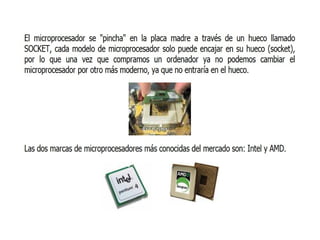 Componentes del ordenador 1