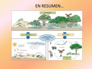 EN RESUMEN…
 