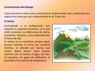 Características del biotopo
Cada ecosistema tiene unas características determinadas que condicionan los
organismos vivos que van a desarrollarse en él. Éstas son:
El relieve
Corresponde a la configuración que
adquiere la superficie terrestre, en la que
están presentes las diferencias de altura,
pendiente, volumen y muy especialmente
la forma de ella.
El relieve no se mantiene siempre igual,
porque mientras se forma por procesos
internos, es alterado por fuerzas que
actúan desde afuera. Estas fuerzas
externas son: el viento, el agua, las olas,
los glaciares, las aguas de infiltración, la
gravedad y los cambios de temperatura.
 