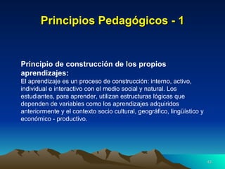 Principios Pedagógicos - 1 Principio de construcción de los propios aprendizajes:  El aprendizaje es un proceso de construcción: interno, activo, individual e interactivo con el medio social y natural. Los estudiantes, para aprender, utilizan estructuras lógicas que dependen de variables como los aprendizajes adquiridos anteriormente y el contexto socio cultural, geográfico, lingüístico y económico - productivo. 