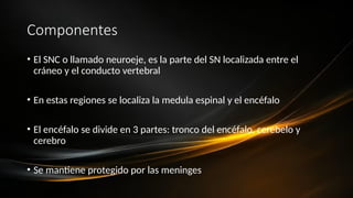 Componentes
• El SNC o llamado neuroeje, es la parte del SN localizada entre el
cráneo y el conducto vertebral
• En estas regiones se localiza la medula espinal y el encéfalo
• El encéfalo se divide en 3 partes: tronco del encéfalo, cerebelo y
cerebro
• Se mantiene protegido por las meninges
 