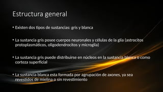 Estructura general
• Existen dos tipos de sustancias: gris y blanca
• La sustancia gris posee cuerpos neuronales y células de la glía (astrocitos
protoplasmáticos, oligodendrocitos y microglía)
• La sustancia gris puede distribuirse en núcleos en la sustancia blanca o como
corteza superficial
• La sustancia blanca esta formada por agrupación de axones, ya sea
revestidos de mielina o sin revestimiento
 