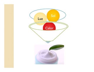 Calor
Luz
Sol
 