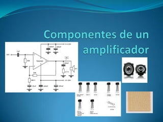 Componentes de un 	amplificador 