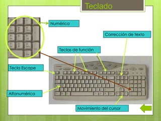 Teclado
               Numérica

                                       Corrección de texto


                  Teclas de función



Tecla Escape




Alfanumérica


                          Movimiento del cursor
 