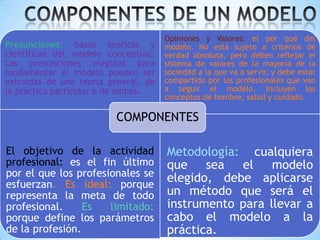 COMPONENTES DE LOS MODELOS Y LAS TEORÍA DE ENFERMERÍA