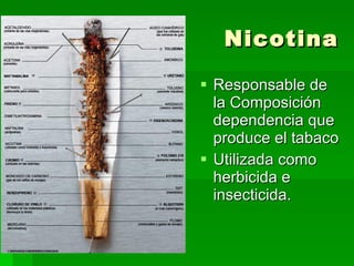 Nicotina Responsable de la   Composición  dependencia que produce el tabaco Utilizada como herbicida e insecticida. 
