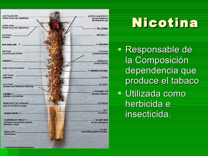 Componentes De Un Porro