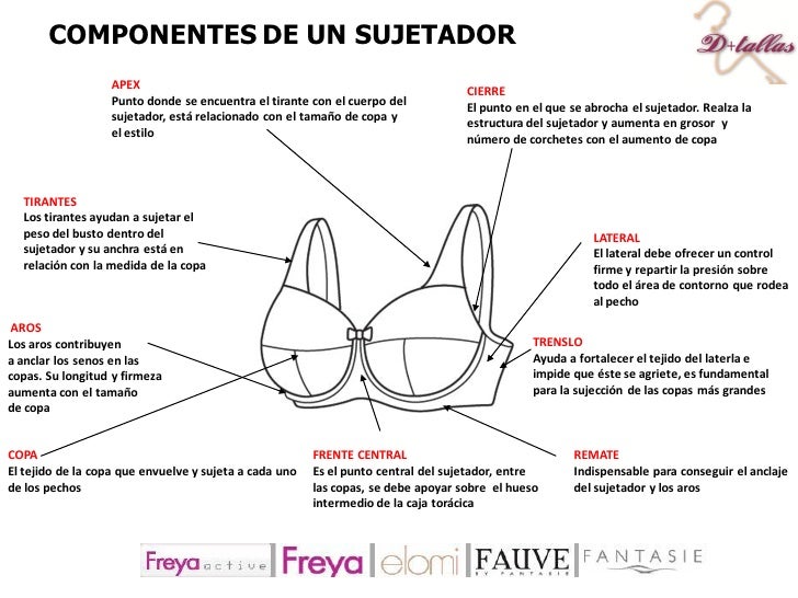 Componentes de un sujetador