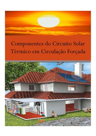 Componentes do Circuito Solar
Térmico em Circulação Forçada
 