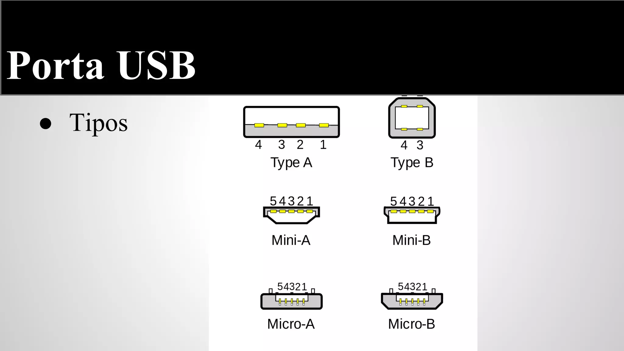 Porta USB
● Tipos

 