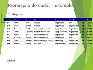 Hierarquia de dados - exemplo
Cod Emp Sobrenome Nome Cargo Departamento Divisão Salário
1310 Smith Ellen Técnico Engenharia Fax R$ 410,85
1329 Vuanuo Tuome Técnico Engenharia Impressoras R$ 410,85
1672 Cummins David Assistente Administrativo Pesq. & Desenv. Copiadoras R$ 1.048,36
1531 Lemos Alexandra Cientista Pesquisador Pesq. & Desenv. Copiadoras R$ 1.053,48
1352 Ygarre Lisa Assistente Técnico Engenharia Impressoras R$ 1.067,75
1814 Al-Sabah Daoud Assistente Técnico Engenharia Fax R$ 1.303,60
1292 Seidel Matthias Representante de Vendas Marketing Impressoras R$ 1.339,72
1300 Ricardo Phillipe Contador Contabilidade Impressoras R$ 1.451,68
Campo
Registro
 