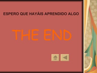 ESPERO QUE HAYÁIS APRENDIDO ALGO THE END 