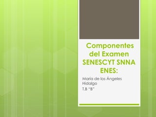 Componentes 
del Examen 
SENESCYT SNNA 
ENES: 
María de los Ángeles 
Hidalgo 
T.B “B” 
 