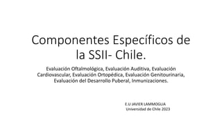 CSI seccion Evaluación Auditiva Visual aps | PDF