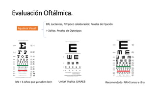 CSI seccion Evaluación Auditiva Visual aps | PDF