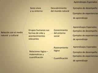 Aprendizajes EsperadosSeres vivos y su entornoDescubrimiento del mundo naturalEjemplos de desempeño   Ejemplos de experienciasde aprendizaje   Aprendizajes EsperadosGrupos humanos sus formas de vida y acontecimientos relevantesConocimiento del entornosocial   Ejemplos de desempeño Relación con el medio natural  y cultural    Ejemplos de experienciasde aprendizaje   Aprendizajes EsperadosRazonamiento lógicoRelaciones lógico – matemáticas ycuantificación    Ejemplos de desempeño    Ejemplos de experienciasCuantificaciónde aprendizaje