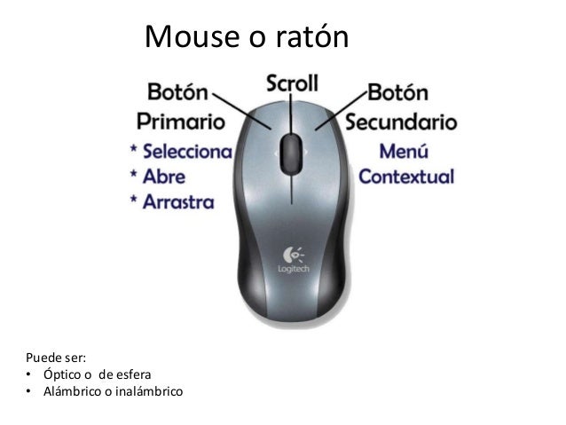 Resultado de imagen para elementos del mouse