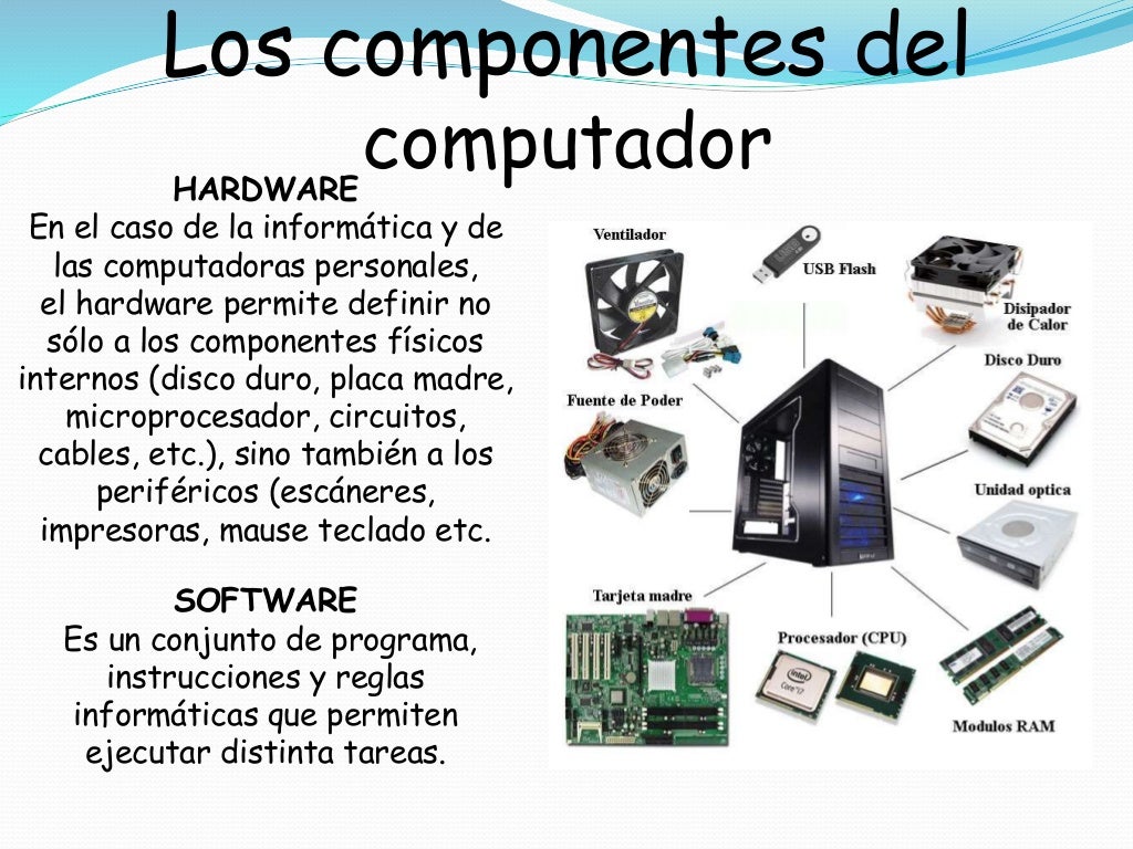 Componentes físicos y lógicos del computador