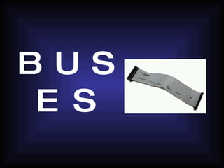 BUSES 