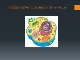 Componentes inorgánicos de la célula
 