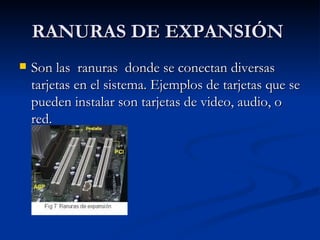 RANURAS DE EXPANSIÓN  Son las  ranuras  donde se conectan diversas tarjetas en el sistema. Ejemplos de tarjetas que se pueden instalar son tarjetas de video, audio, o red.  