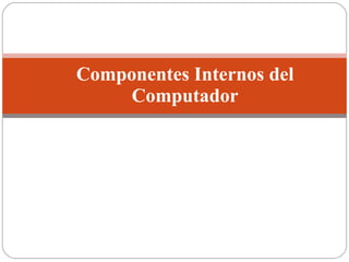 Componentes Internos del Computador 