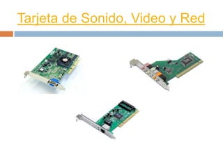 Tarjeta de Sonido, Video y Red 
 