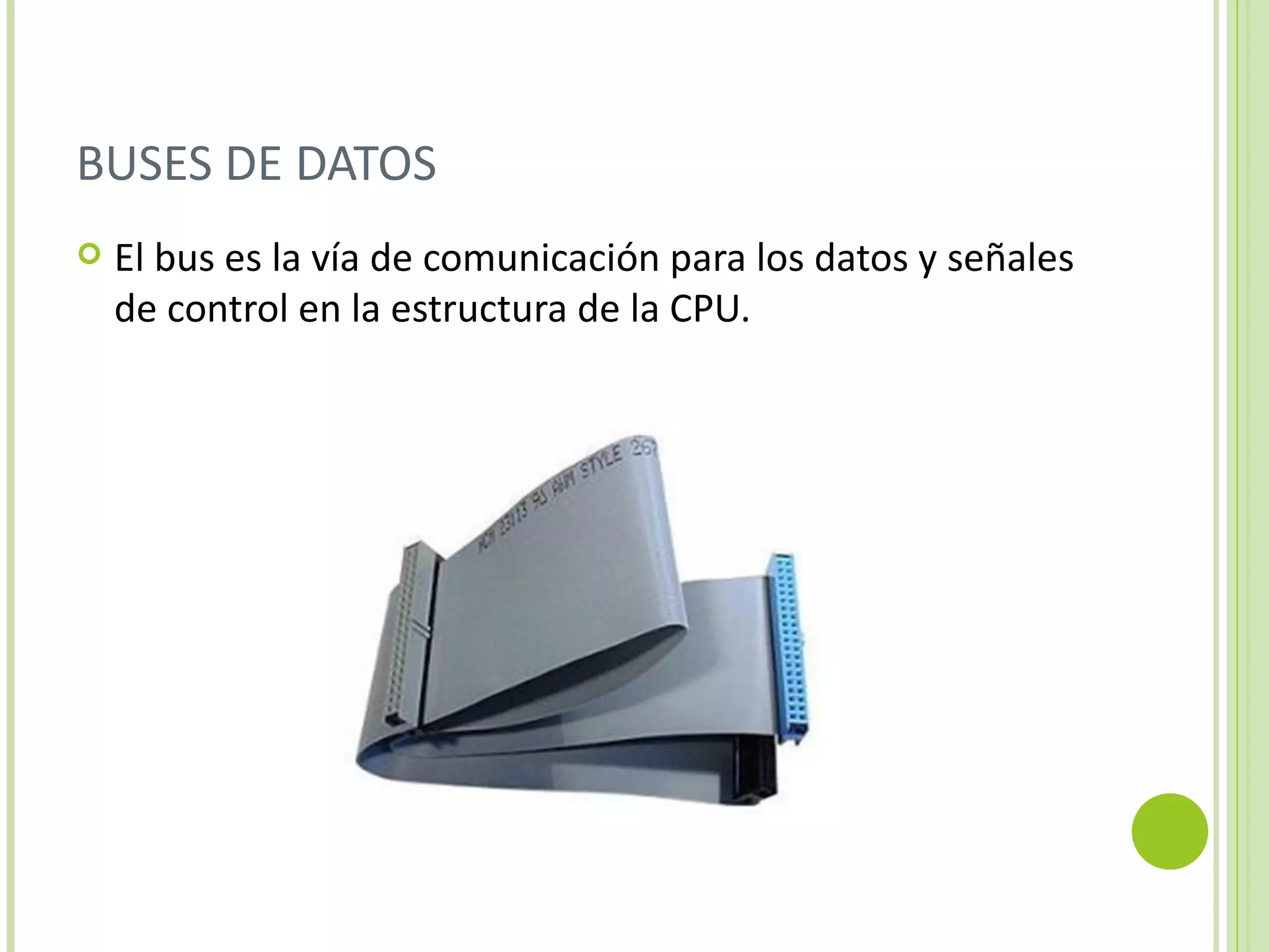 BUSES DE DATOS
   El bus es la vía de comunicación para los datos y señales
    de control en la estructura de la CPU.
 