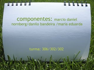 componentes:          marcio daniel
nornberg/danilo bandeira /maria eduarda




         turma: 306/302/302
 