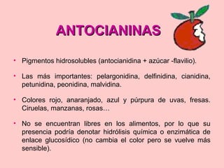 ANTOCIANINASANTOCIANINAS
• Pigmentos hidrosolubles (antocianidina + azúcar -flavilio).
• Las más importantes: pelargonidina, delfinidina, cianidina,
petunidina, peonidina, malvidina.
• Colores rojo, anaranjado, azul y púrpura de uvas, fresas.
Ciruelas, manzanas, rosas…
• No se encuentran libres en los alimentos, por lo que su
presencia podría denotar hidrólisis química o enzimática de
enlace glucosídico (no cambia el color pero se vuelve más
sensible).
 