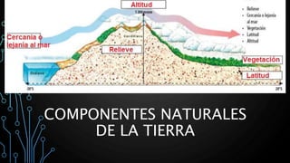 COMPONENTES NATURALES
DE LA TIERRA
 