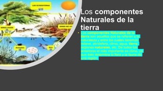 Componentes naturales de la tierra