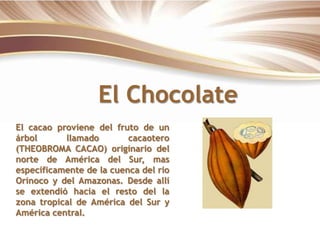 El Chocolate El cacao proviene del fruto de un árbol llamado cacaotero (THEOBROMA CACAO) originario del norte de América del Sur, mas específicamente de la cuenca del río Orinoco y del Amazonas. Desde allí se extendió hacia el resto del la zona tropical de América del Sur y América central.   