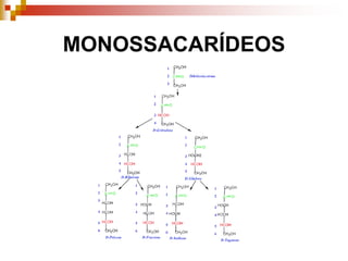 MONOSSACARÍDEOS
 