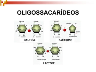 OLIGOSSACARÍDEOS
 