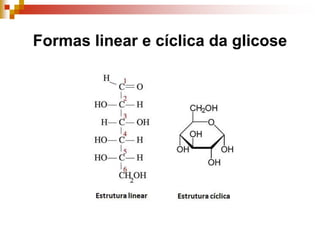Formas linear e cíclica da glicose
 