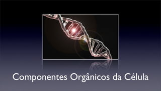Componentes Orgânicos da Célula
 