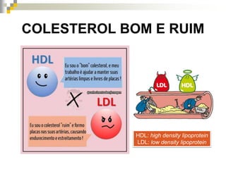 COLESTEROL BOM E RUIM
HDL: high density lipoprotein
LDL: low density lipoprotein
 