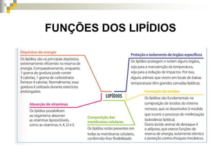 FUNÇÕES DOS LIPÍDIOS
 