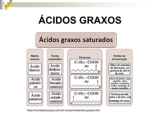 ÁCIDOS GRAXOS
https://mundoeducacao.uol.com.br/quimica/acidos-graxos.htm
 