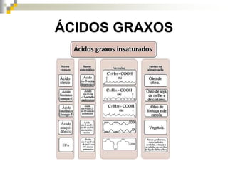 ÁCIDOS GRAXOS
 