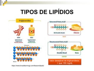 TIPOS DE LIPÍDIOS
https://www.broadlearnings.com/lessons/lipids/
Valor desejável de triglicerídeos:
< que 150 mg/dL
 
