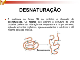 DESNATURAÇÃO
 A mudança da forma 3D da proteína é chamada de
desnaturação. Os fatores que alteram a estrutura de uma
proteína podem ser: alteração na temperatura e no pH do meio,
ação de solventes orgânicos, agentes oxidantes e redutores e até
mesmo agitação intensa.
 