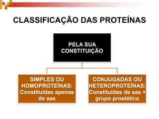 CLASSIFICAÇÃO DAS PROTEÍNAS
PELA SUA
CONSTITUIÇÃO
SIMPLES OU
HOMOPROTEÍNAS:
Constituídas apenas
de aas
CONJUGADAS OU
HETEROPROTEÍNAS:
Constituídas de aas +
grupo prostético
 