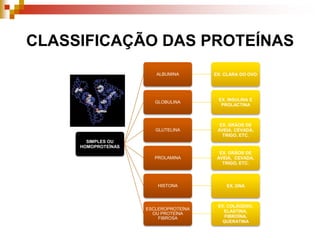 CLASSIFICAÇÃO DAS PROTEÍNAS
SIMPLES OU
HOMOPROTEÍNAS
ALBUMINA EX. CLARA DO OVO
GLOBULINA
EX. INSULINA E
PROLACTINA
GLUTELINA
EX. GRÃOS DE
AVEIA, CEVADA,
TRIGO, ETC.
PROLAMINA
EX. GRÃOS DE
AVEIA, CEVADA,
TRIGO, ETC.
HISTONA EX. DNA
ESCLEROPROTEÍNA
OU PROTEÍNA
FIBROSA
EX. COLÁGENO,
ELASTINA,
FIBROÍNA,
QUERATINA
 