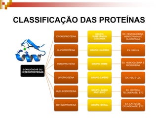 CLASSIFICAÇÃO DAS PROTEÍNAS
CONJUGADAS OU
HETEROPROTEÍNAS
CROMOPROTEÍNA
GRUPO:
SUBSTÂNCIA
COLORIDA
EX. HEMOGLOBINA,
HEMOCIANINA E
CLOROFILAS
GLICOPROTEÍNA GRUPO: GLICÍDIO EX. SALIVA
HEMOPROTEÍNA GRUPO: HEME
EX. HEMOGLOBINA E
MIOGLOBINA
LIPOPROTEÍNA GRUPO: LIPÍDIO EX. HDL E LDL
NUCLEOPROTEÍNA
GRUPO: ÁCIDO
NUCLEICO
EX. HISTONA,
TELOMERASE, ETC
METALOPROTEÍNA GRUPO: METAL
EX. CATALASE,
COLAGENASE, ETC
 