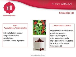 Schizandra (3) Usos Ayurvédicos/Tradicionales Estimula la inmunidad Mejora la función respiratoria Sirve de tónico digestivo Lo que dice la Ciencia Propiedades antioxidantes y antimicrobianas Ayuda a proteger el sistema cardiovascular Impulsa un nivel saludable de azúcar en la sangre Adaptogénico  www.zriiporcolombia.com 