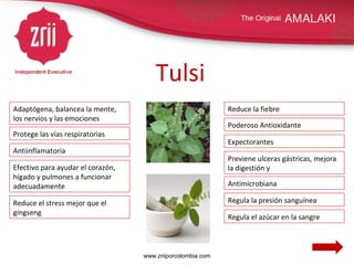 Tulsi  Adaptógena, balancea la mente, los nervios y las emociones Previene ulceras gástricas, mejora la digestión y Protege las vías respiratorias Antimicrobiana Efectivo para ayudar el corazón, hígado y pulmones a funcionar adecuadamente Reduce el stress mejor que el gingseng Antiinflamatoria Regula la presión sanguínea Regula el azúcar en la sangre Reduce la fiebre Expectorantes Poderoso Antioxidante www.zriiporcolombia.com 
