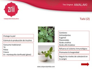 Tulsi (2) Protege la piel Contiene: Antioxidantes Eugenol Flavonoides Ácido ursólico Ácido alfa linoleico Refuerza el sistema inmunológico Consumo tradicional: Té Polvo Fresco En  mantequilla clarificada (ghee) Regula los niveles de colesterol en la sangre Estimula la producción de insulina Promueve la longevidad www.zriiporcolombia.com 